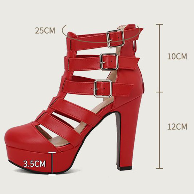 REAVE CAT Luxury Female Sandal - Women'S Fashion Belts review and price