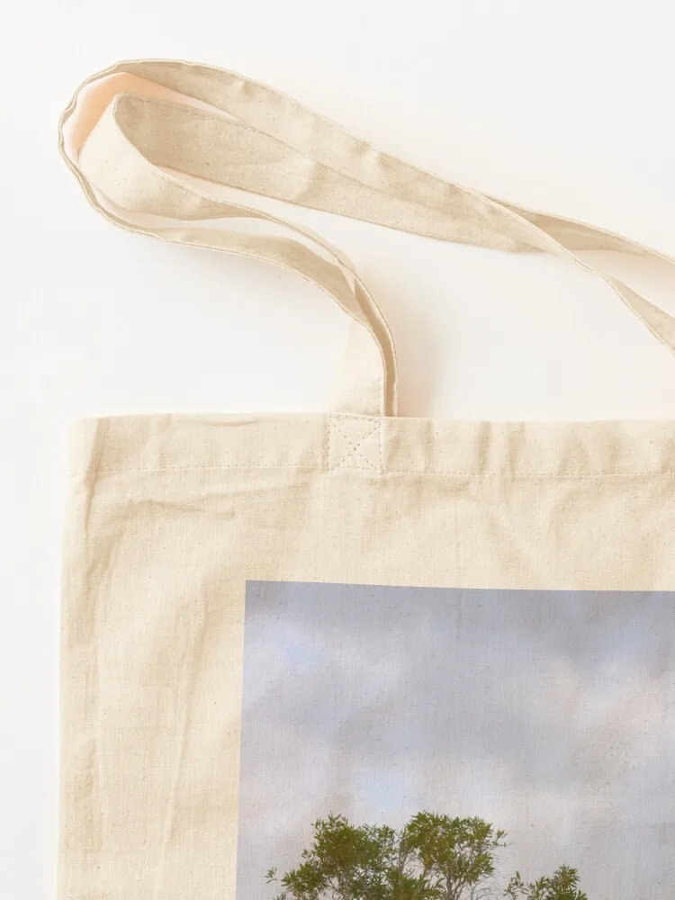 Tree at Lake Mackenzie, Fraser - Women'S Fashion Queensland review and price
